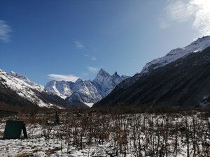 IMG_20191103_124918.jpg