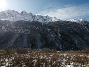 IMG_20191103_123921.jpg