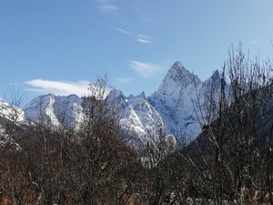 IMG_20191103_125009.jpg