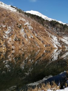 IMG_20191103_123826.jpg
