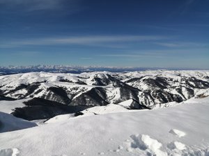 IMG_20191104_101749.jpg
