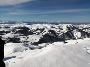 IMG_20191104_100724.jpg