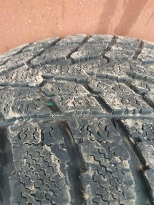 IMG_20191009_142922.jpg