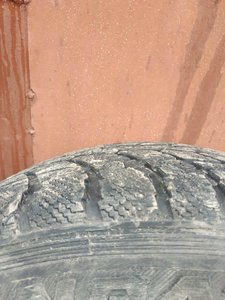 IMG_20191009_142926.jpg