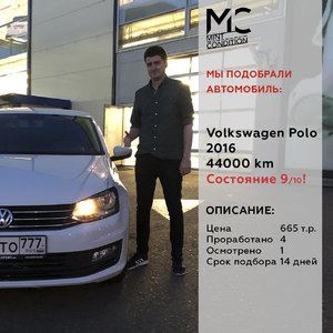 Wpolo(e81)_compl.jpg