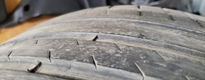 20191107_124319.jpg