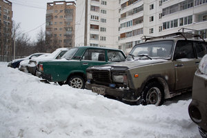 IMG_2445.jpg