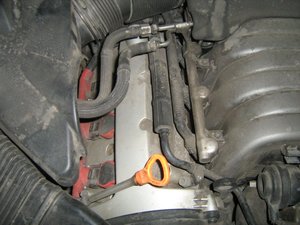 IMG_8277.JPG
