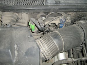 IMG_8278.JPG