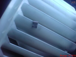 DSC00660_thumb.jpg