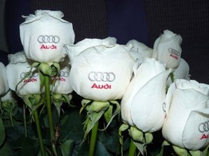 88cc13fc5e7f51f0-original.jpg