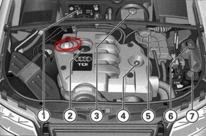 5.gif