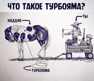 image (10).jpg