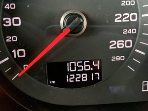 IMG_5561.jpg