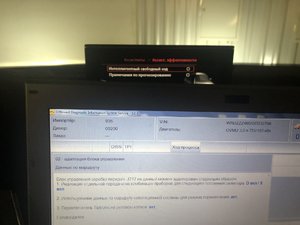 IMG_7997.jpg