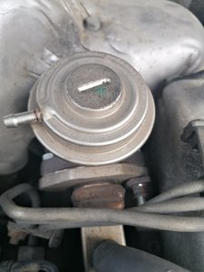 IMG_20200218_104154.jpg