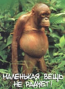 Makaka.jpg