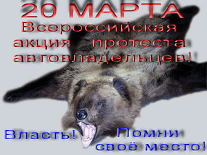 medved-1.jpg