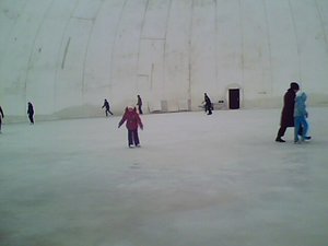 IMG0008A.jpg