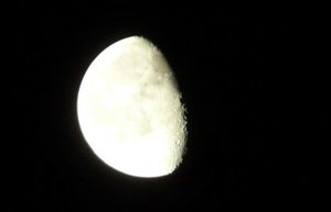 x_066043c5.jpg