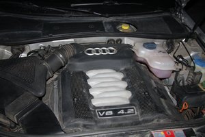 IMG_9611.jpg