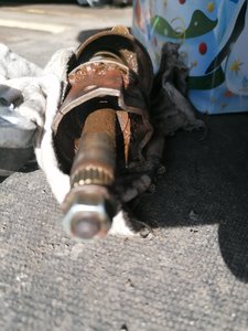 IMG_20200316_112030.jpg
