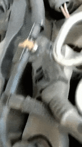 GIF-200423_131352.gif