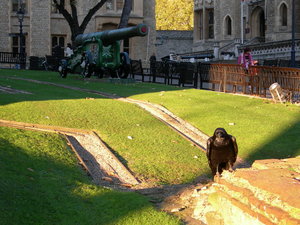 London Tower.jpg