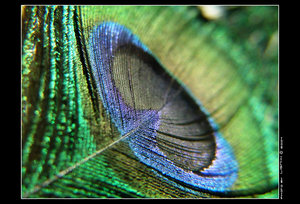 DSCF1244.jpg