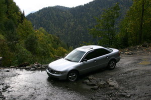 IMG_68331.jpg