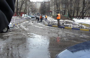 снегири двор.jpg