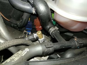 IMG_20180618_172414.jpg