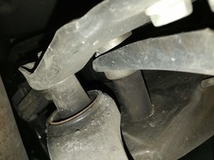 IMG_20180723_194831.jpg