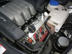 IMG_20180829_204235.jpg
