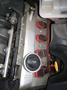 IMG_20181025_162615.jpg