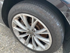 IMG_4452.jpg