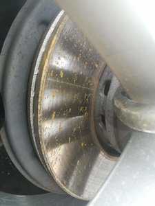 IMG_20190418_130819.jpg