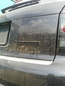 IMG_20190508_165956.jpg