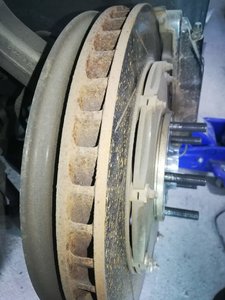 IMG_20200427_174751.jpg