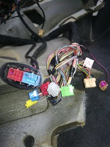 IMG_20200601_144903.jpg