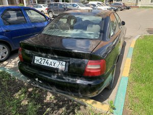 IMG_0773.jpeg