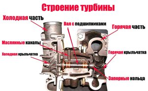 CC69802F-4FB4-4EEF-80D3-B3BCB675EE8E.jpeg