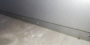 IMG_20200619_193037.jpg