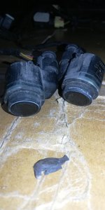 IMG_20200619_214938.jpg