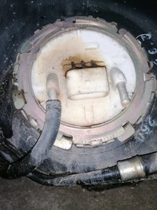 IMG_20200701_211458.jpg