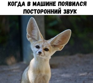 56565678778.jpg