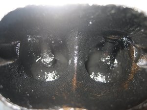 IMG_2178.JPG