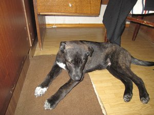 IMG_2764.JPG
