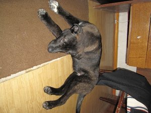IMG_2766.JPG