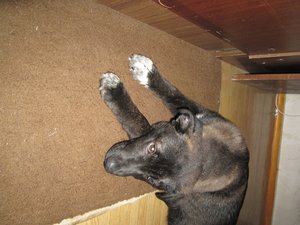 IMG_2767.JPG